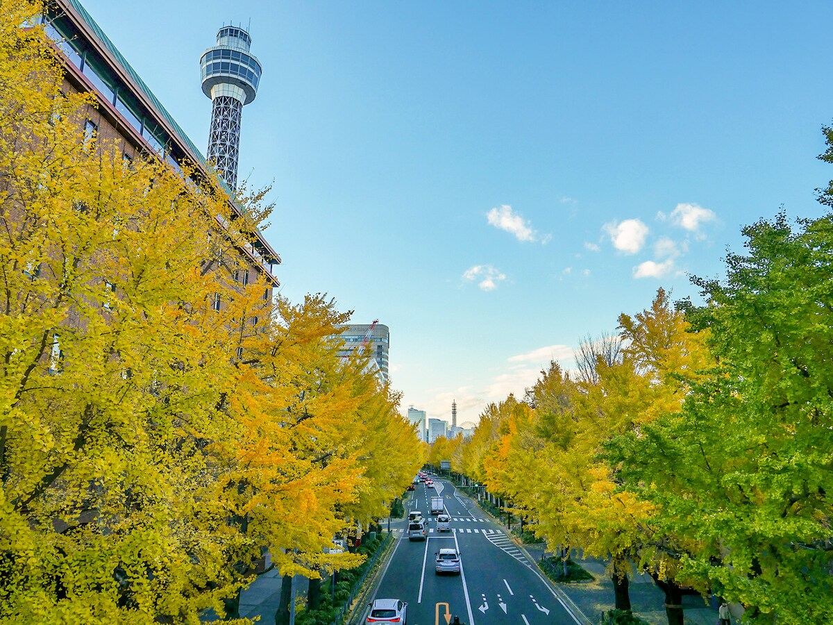  横浜人形の家の前の「ポーリン橋」からの眺めの画像