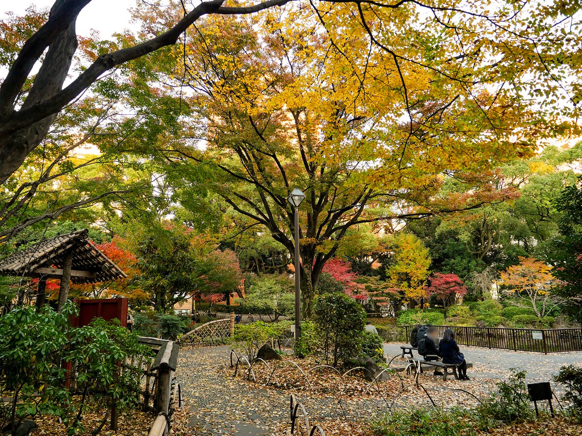 横浜公園内に設けられている彼我庭園は紅葉の名所 の画像