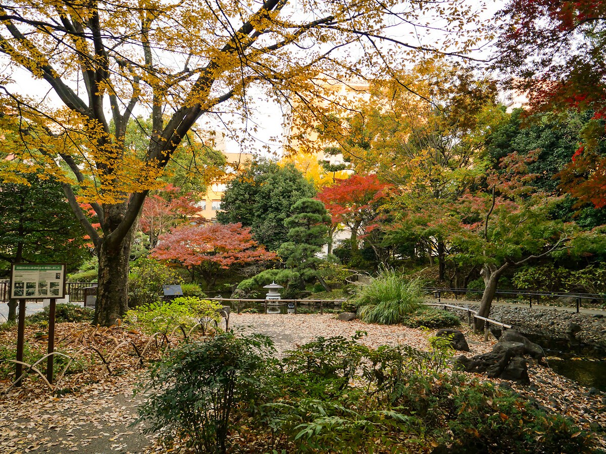横浜公園内に設けられている彼我庭園は紅葉の名所 の画像