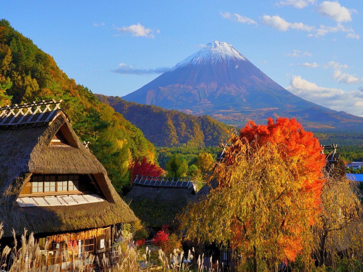 秋の西湖いやしの里根場 黄葉と茅葺き屋根越しに望む冠雪富士の画像