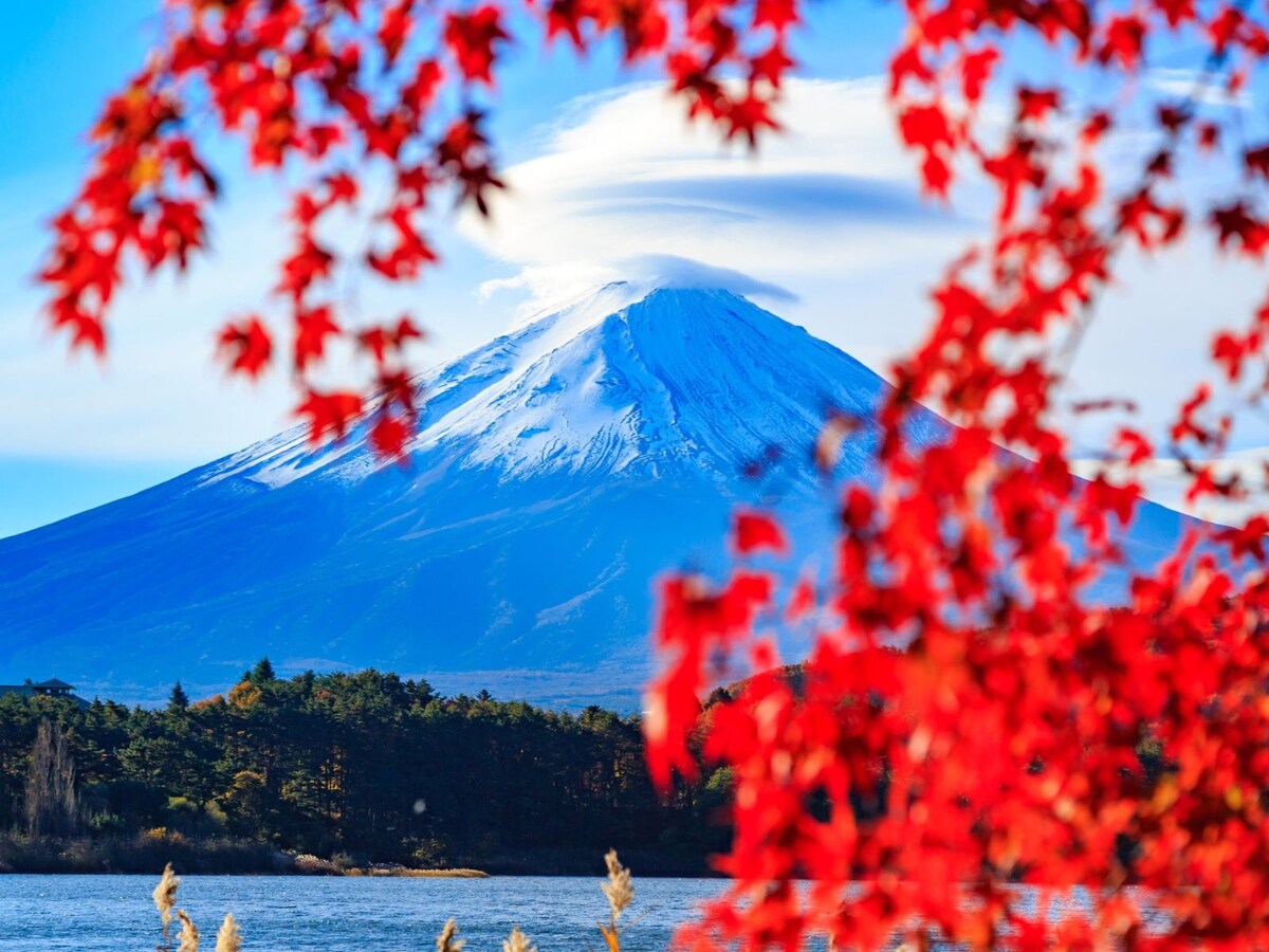 河口湖の留守ヶ岩浜から見た紅葉と富士山 ※画像：PIXTA