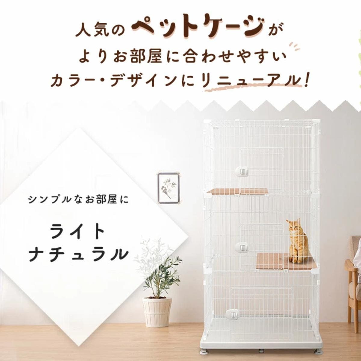 画像出典:楽天市場