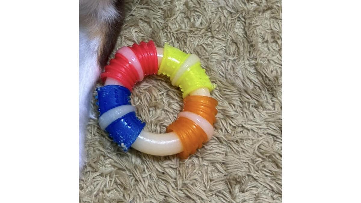 Hartz（ハーツ）の「デンタルトイ チューリング」