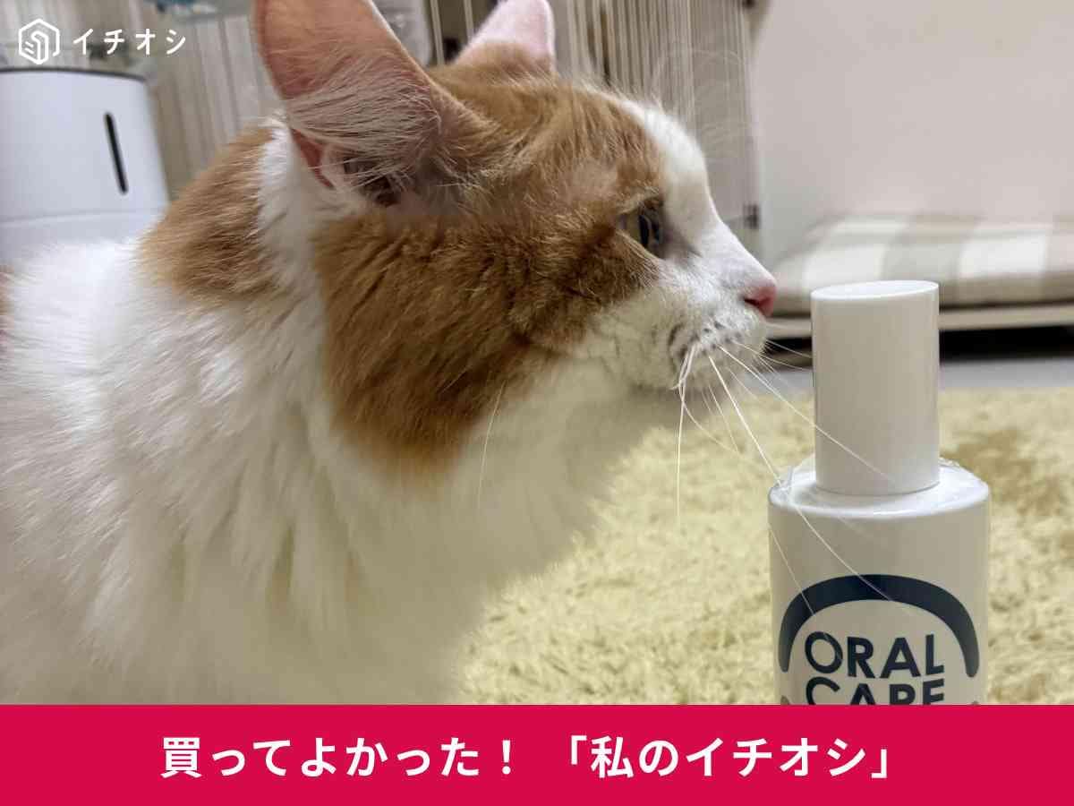 ペトラボの「口腔ケアウォーター」で愛猫の口臭が軽くなった！