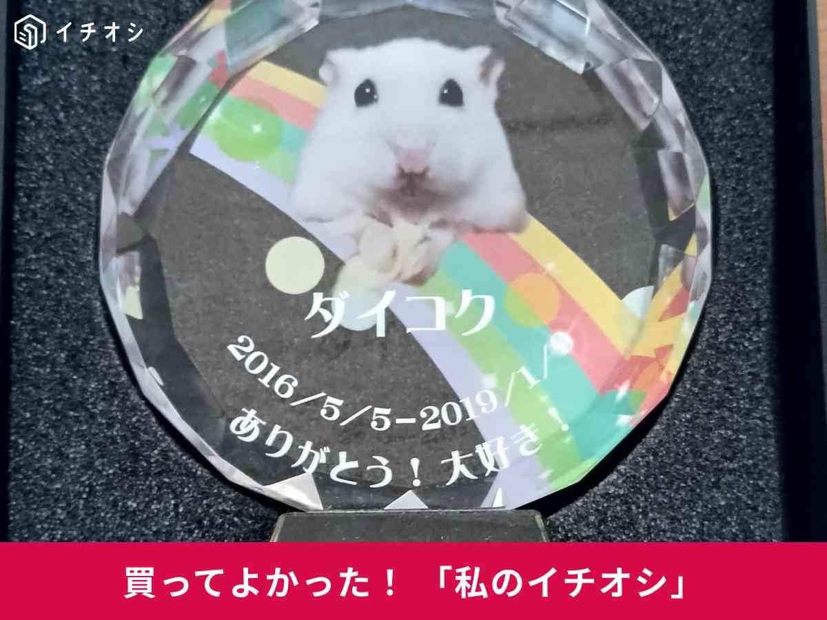 「オリジナル オーダーメイドペット位牌」はカラー写真やメッセージを印刷できる