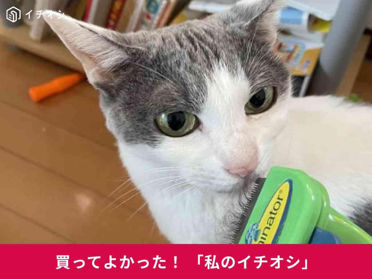 猫用ブラシ「ファーミネーター」で愛猫の毛がごっそり取れる！