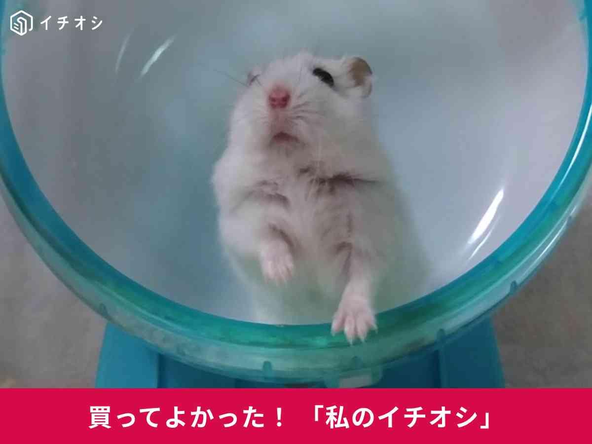 「サイレントホイール フラット 15」は静かで快適！