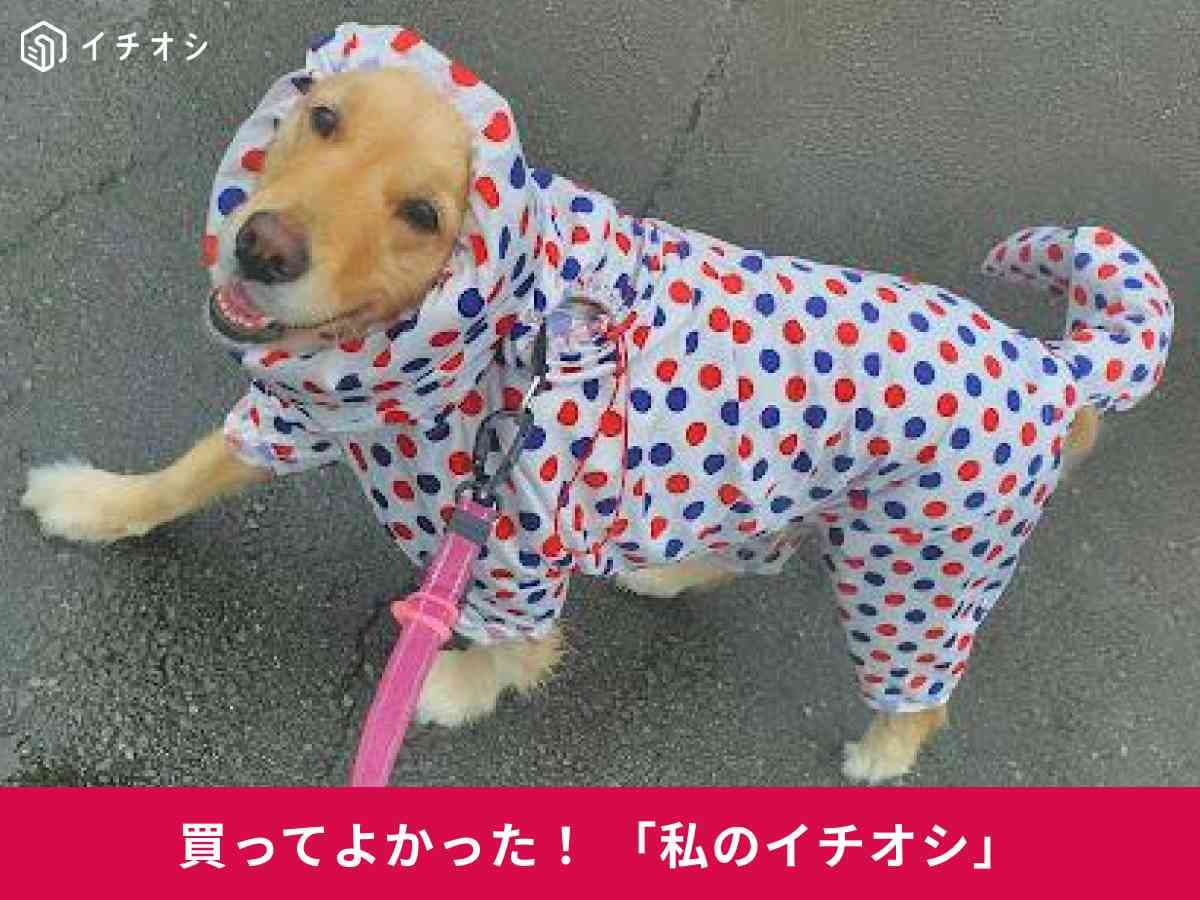 愛犬用「ストレッチフルカバーレインコート」が雨天のお散歩に活躍！
