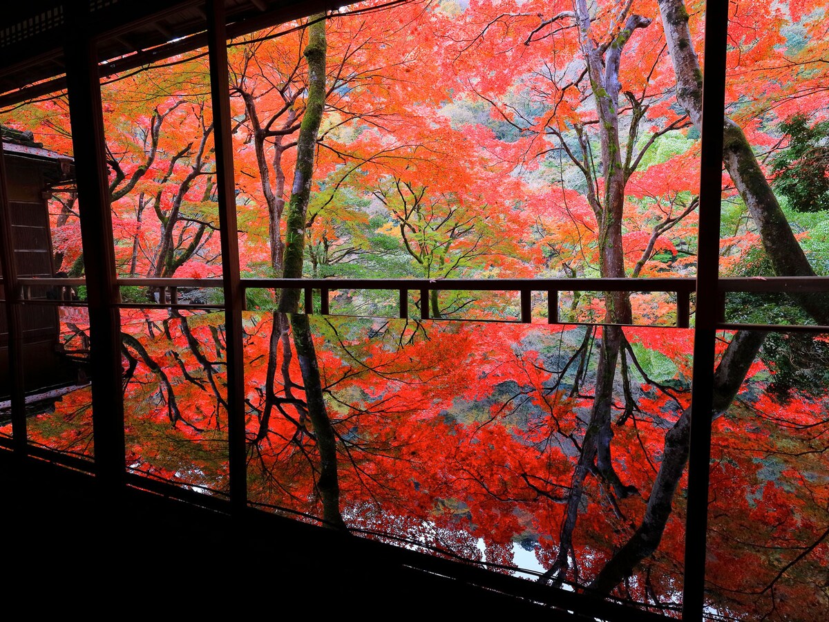京都・嵐山の紅葉