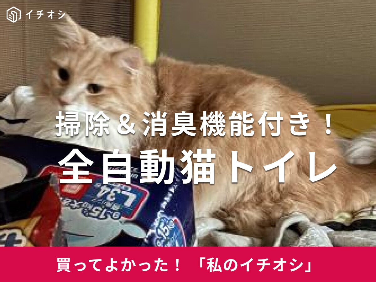 【PetSnowy】「全自動猫トイレ」は掃除も消臭もお任せ！ノルウェージャンのしぐれちゃんも愛用中♪(30代女性)