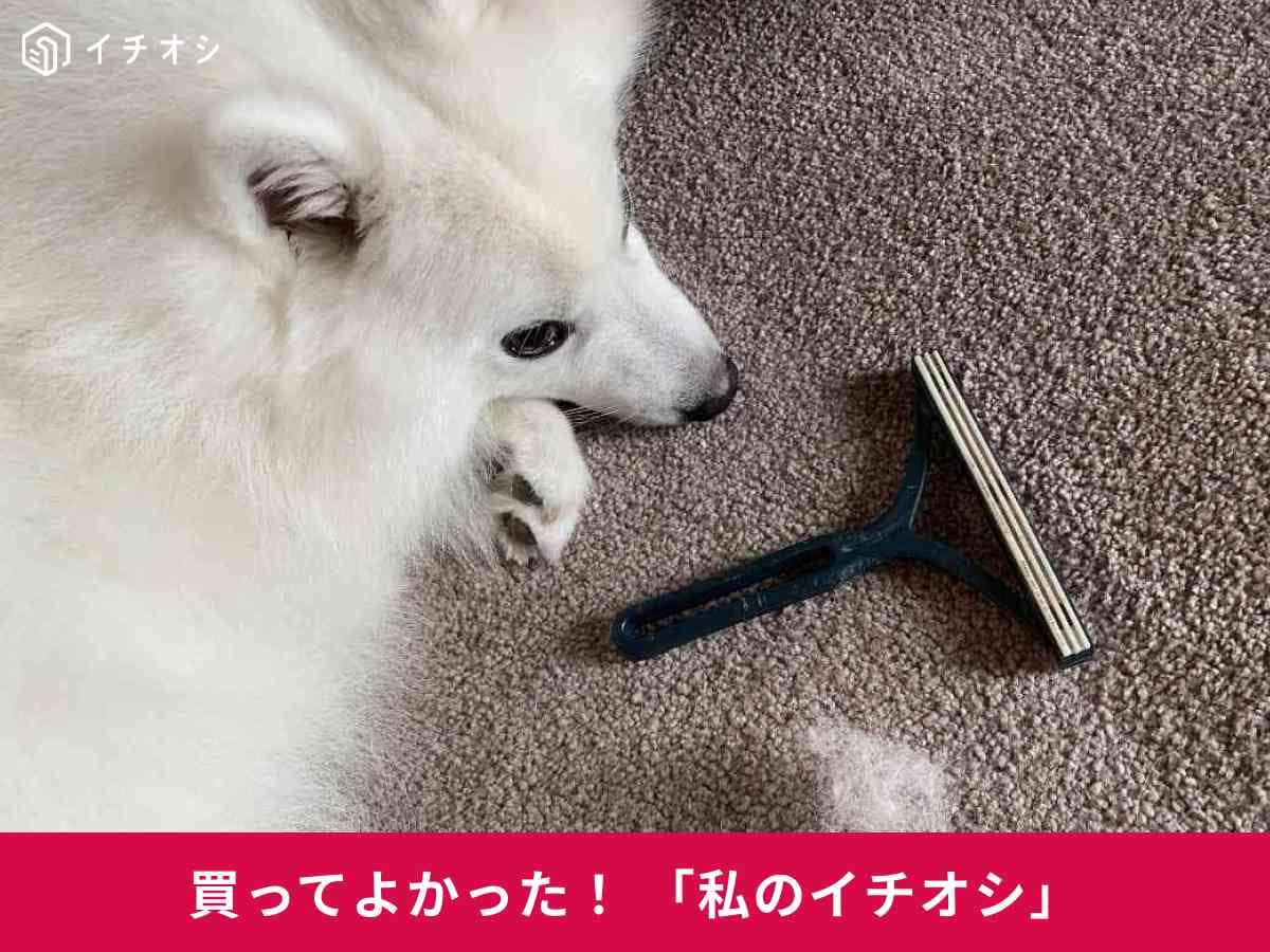 ペットの抜け毛掃除は「カーペットクリーナー」がおすすめ！