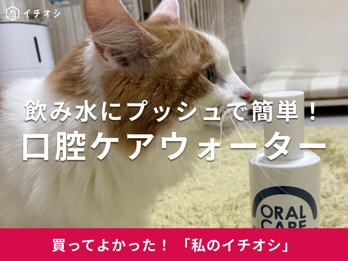 【ペトラボ】愛猫用「口腔ケアウォーター」は飲み水に混ぜるだけの液体歯磨き！マンチカン・ロイちゃんも口臭ケア(20代女性)