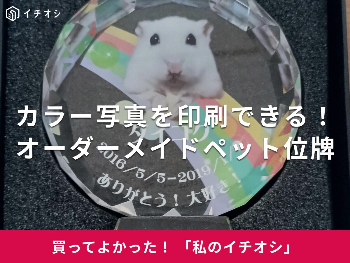 「オリジナルオーダーメイドペット位牌」はカラー写真付き！ハムスターのダイコクちゃんといつも一緒にいる気分(30代女性)