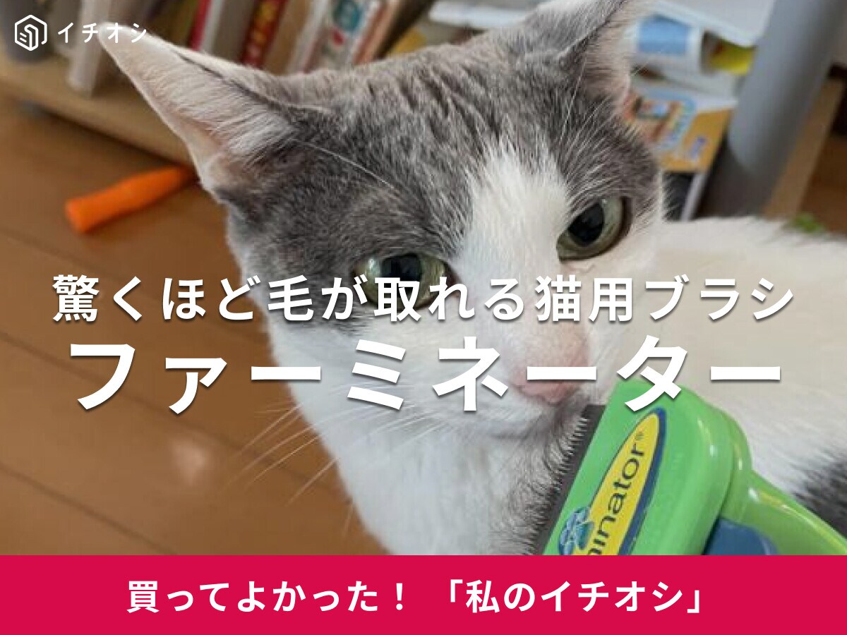 猫用ブラシ「ファーミネーター」はごっそり毛が取れて衝撃的！ミックス猫・小幸ちゃんの毛もすっきり♪(30代女性)