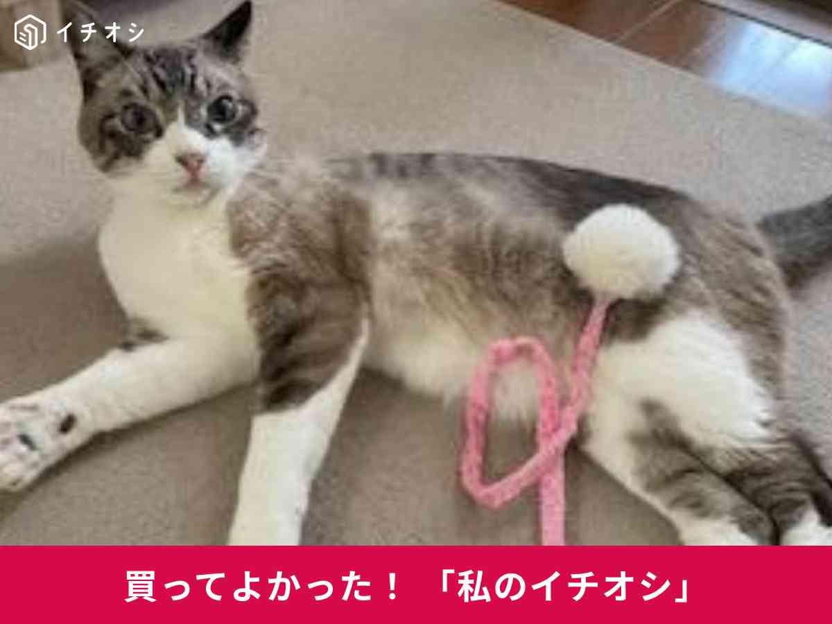 「じゃれ猫 尾ながオドリ おサルのしっぽ」は猫にモテモテのおもちゃ！