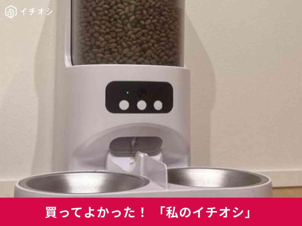 愛猫のお留守番には「カメラ付き自動給餌機」が便利！