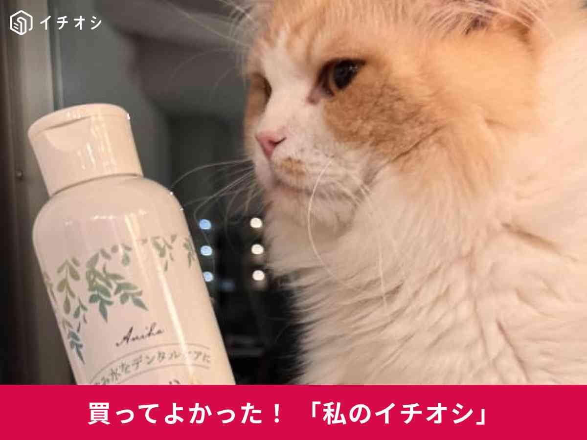 アニハの「犬猫用液体ハミガキ」は歯磨き嫌いなねこちゃん・わんちゃんにおすすめ