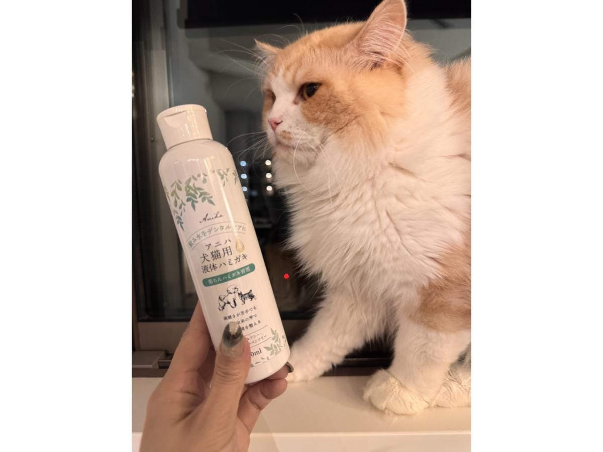 アニハの「犬猫用液体ハミガキ」は飲み水に垂らすだけ！