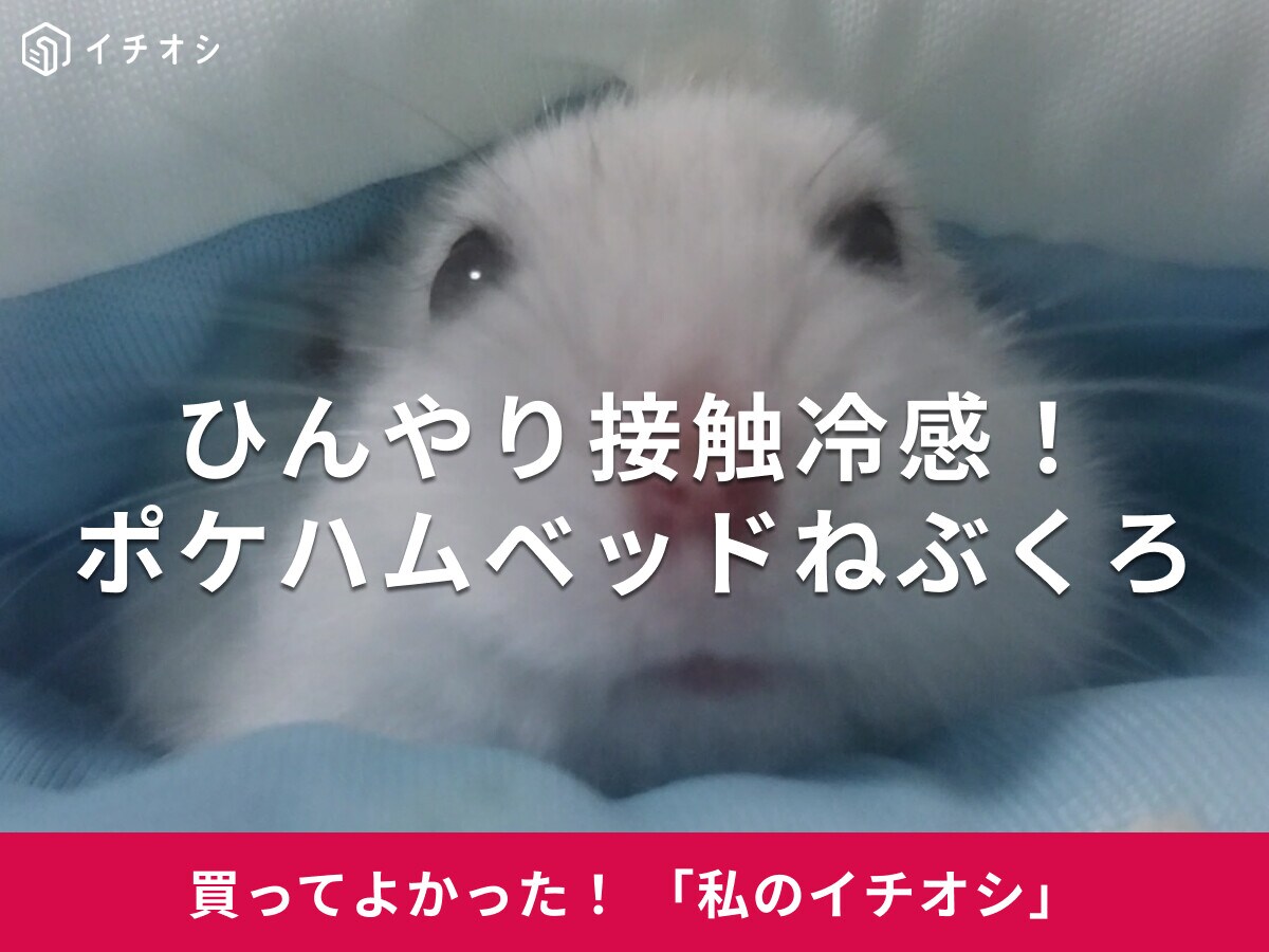 【マルカン】「接触冷感ポケハムベッドねぶくろ」で猛暑対策！ハムスターのダイコクちゃんもすやすや(30代女性)