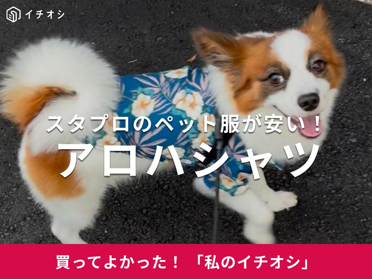 【スタプロ】ペット用アロハシャツが可愛くてお手頃！愛用のパピヨン・オースティンちゃんはお散歩中の人気者に♪(40代女性)
