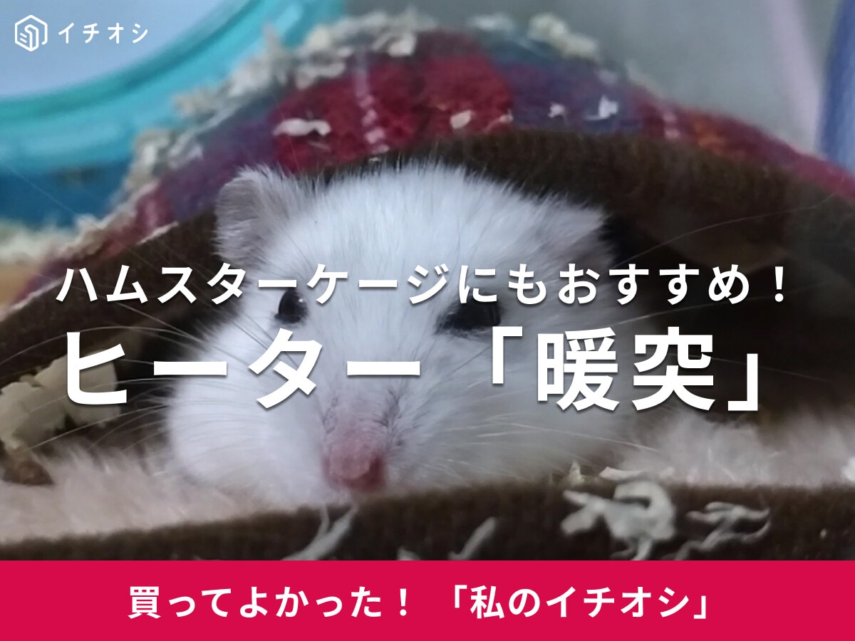 「暖突」ヒーターはハムスターの寒さ対策にもおすすめ！ジャンガリアン・ダイコクちゃんのケージもぽかぽか♪(30代女性)