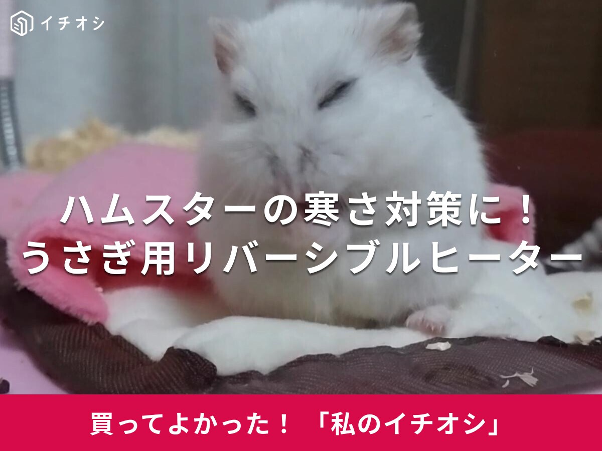 マルカン「リバーシブルヒーター」がハムスターの寒さ対策に活躍！ジャンガリアン・ダイコクちゃんも冬場に愛用♪(30代女性)