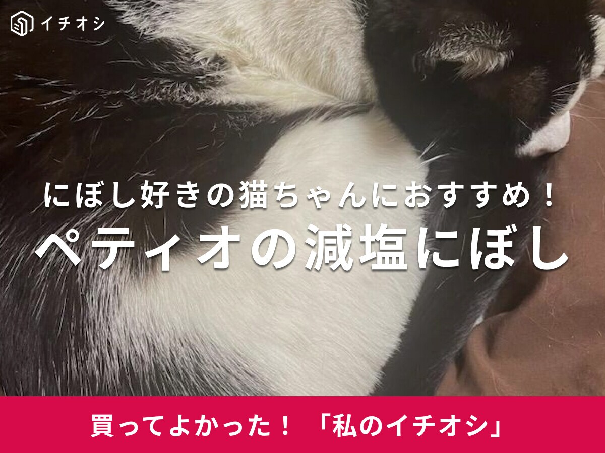 ペティオの猫用「プラクト減塩にぼし」は乳酸菌配合・無添加の国産おやつ！ミックス猫・ろびんちゃんのお気に入り（50代男性）