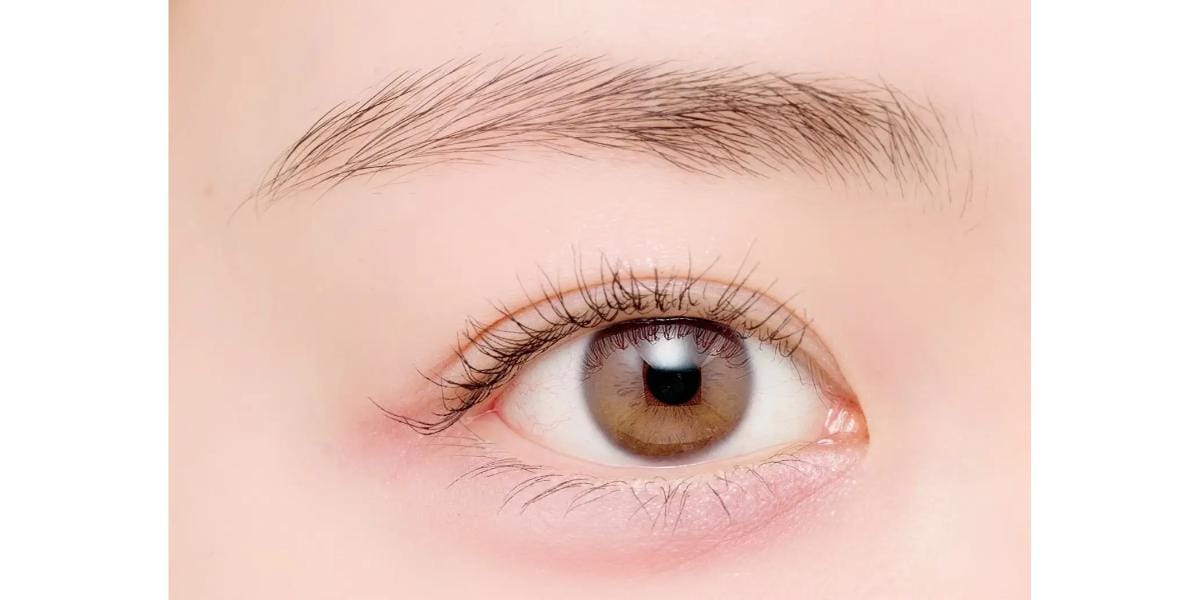 N02 チュチュプランぷくの仕上がりイメージ  画像出典：PR Times（https://prtimes.jp/main/html/rd/p/000000226.000019685.html)