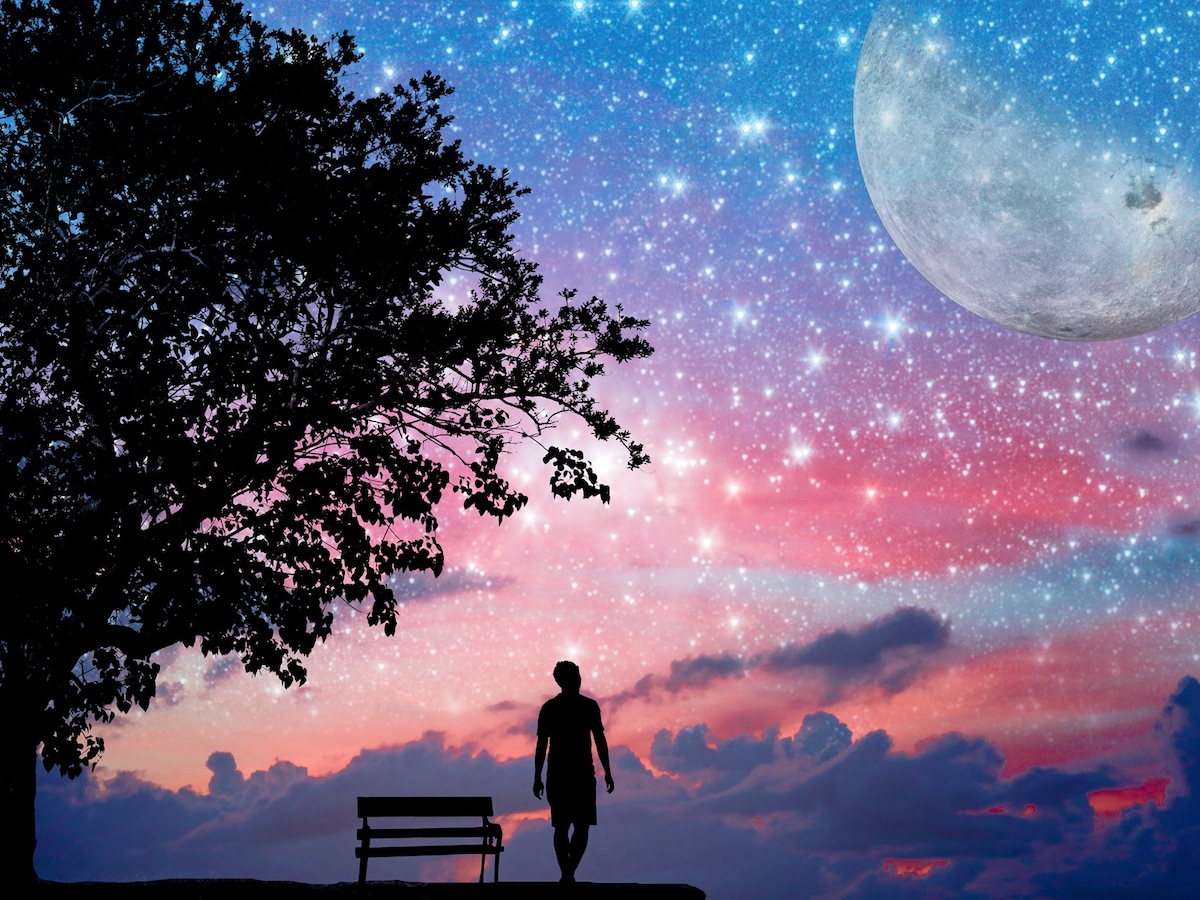 12星座別にあなたを満たす「居場所の作り方」を解説します ※画像：Shutterstock.com
