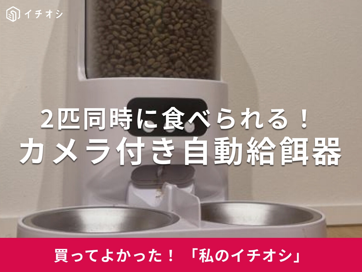 ڥåѤΡ֥դư´פ2ɤƱ˵²ǽߥåǭΤޤӤΤα֤˳30