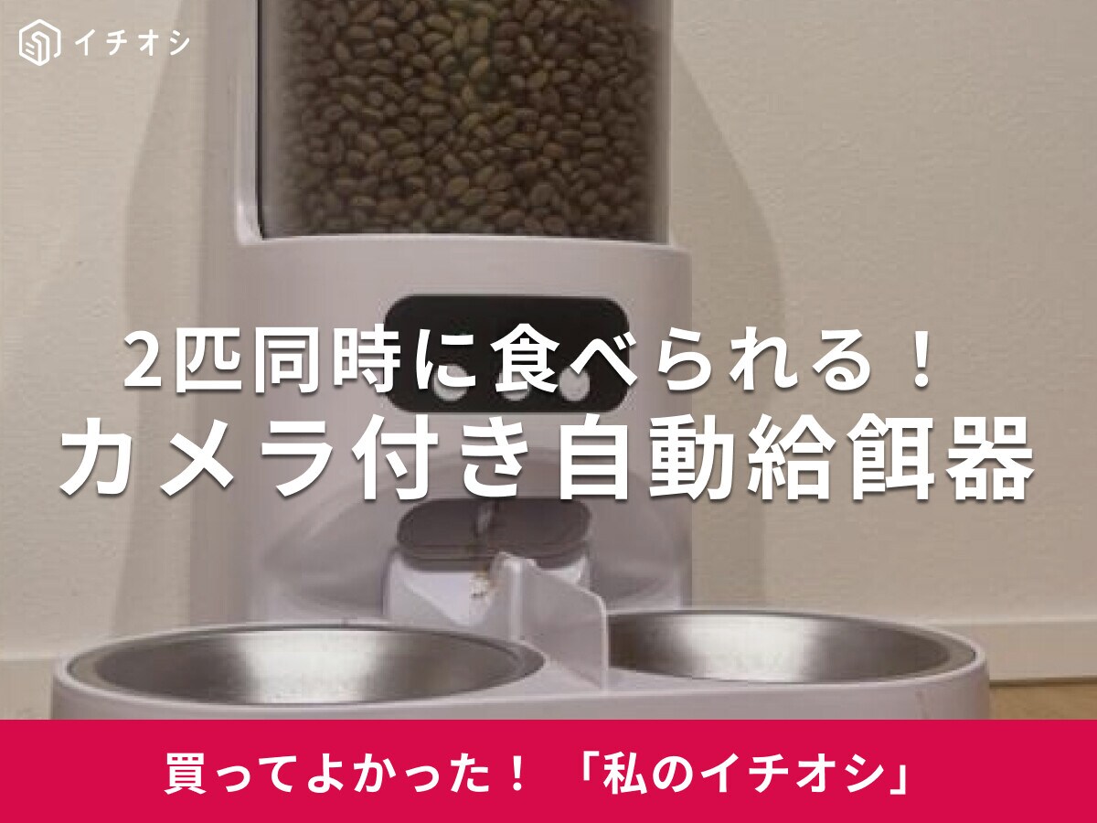 ペット用の「カメラ付き自動給餌器」は2匹同時に給餌可能！ミックス猫のごまちゃん＆きびちゃんのお留守番に活躍（30代女性）