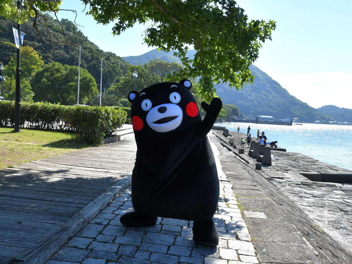 いいお天気だモン＝10月11日、熊本県宇城市