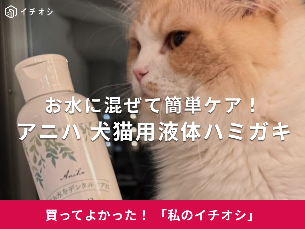 【アニハ】「犬猫用液体ハミガキ」はお水に混ぜるだけでOK！サイベリアン・ちゃびちゃんも自然にお口ケア♪（30代女性）