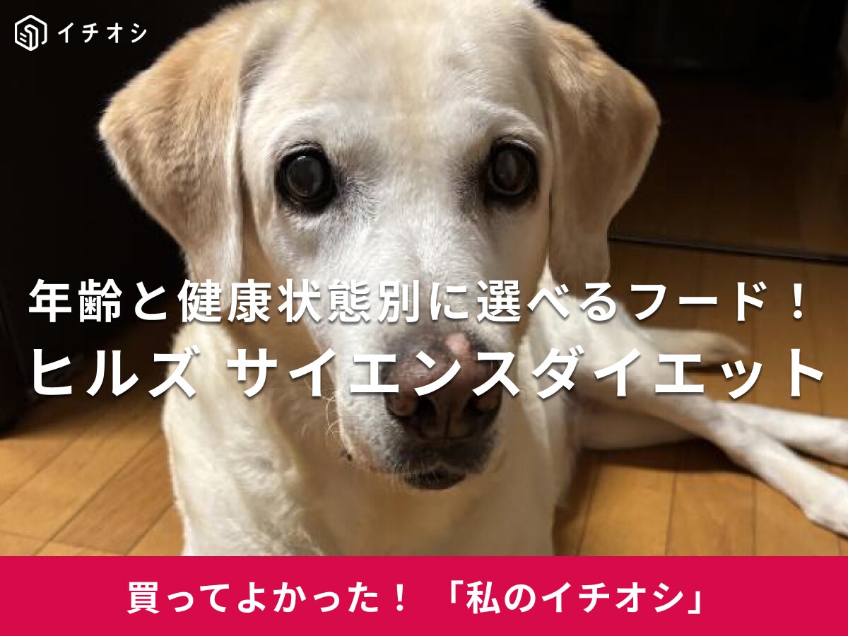 ҥ륺Υաɡ֥󥹥åȡפϰǯ𡦾̤٤롪֥ɡ롦ۤηˡ40