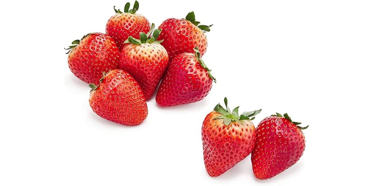 画像引用：Amazon