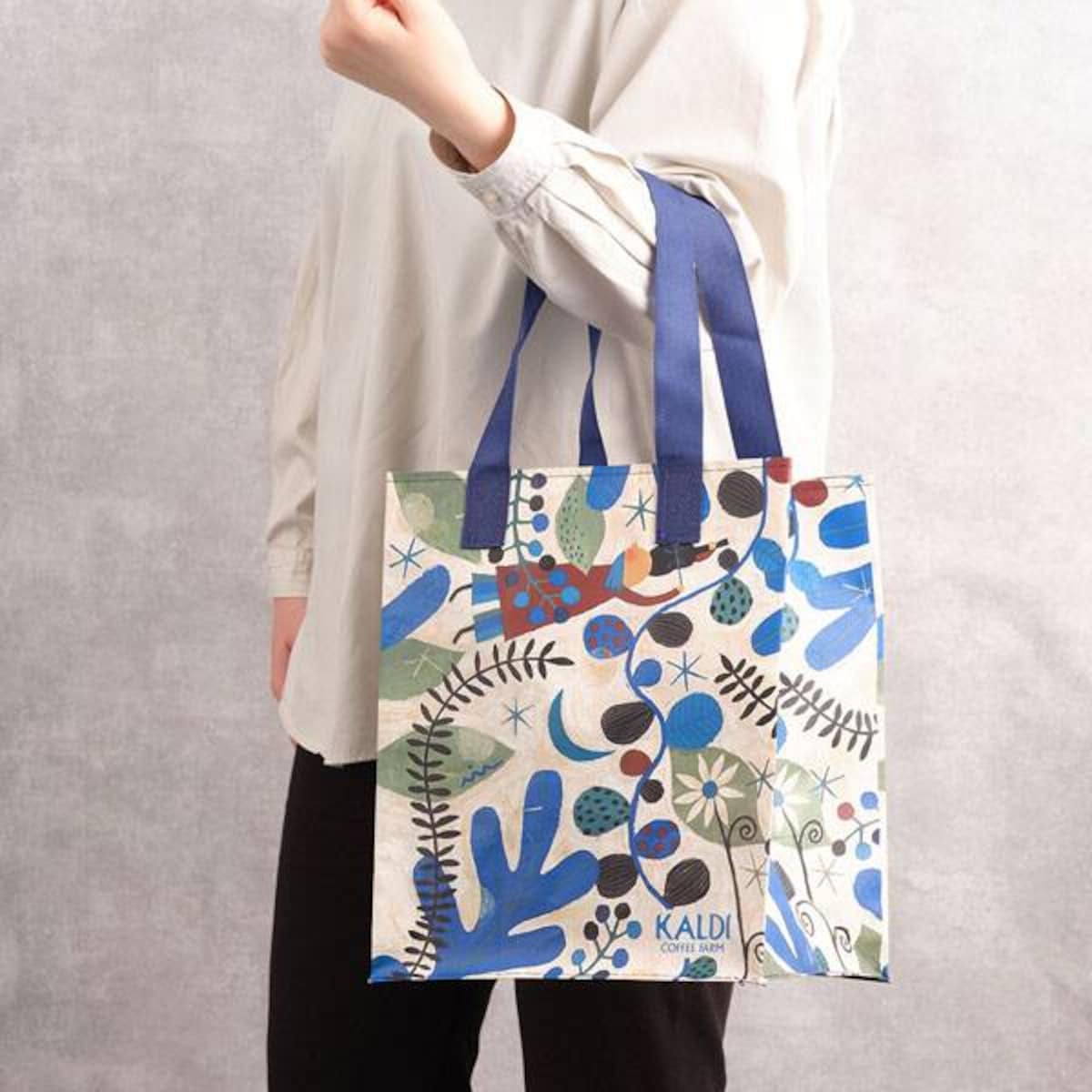 画像引用：カルディ公式オンラインストア（https://www.kaldi.co.jp/ec/cmShopTopPage1.html）