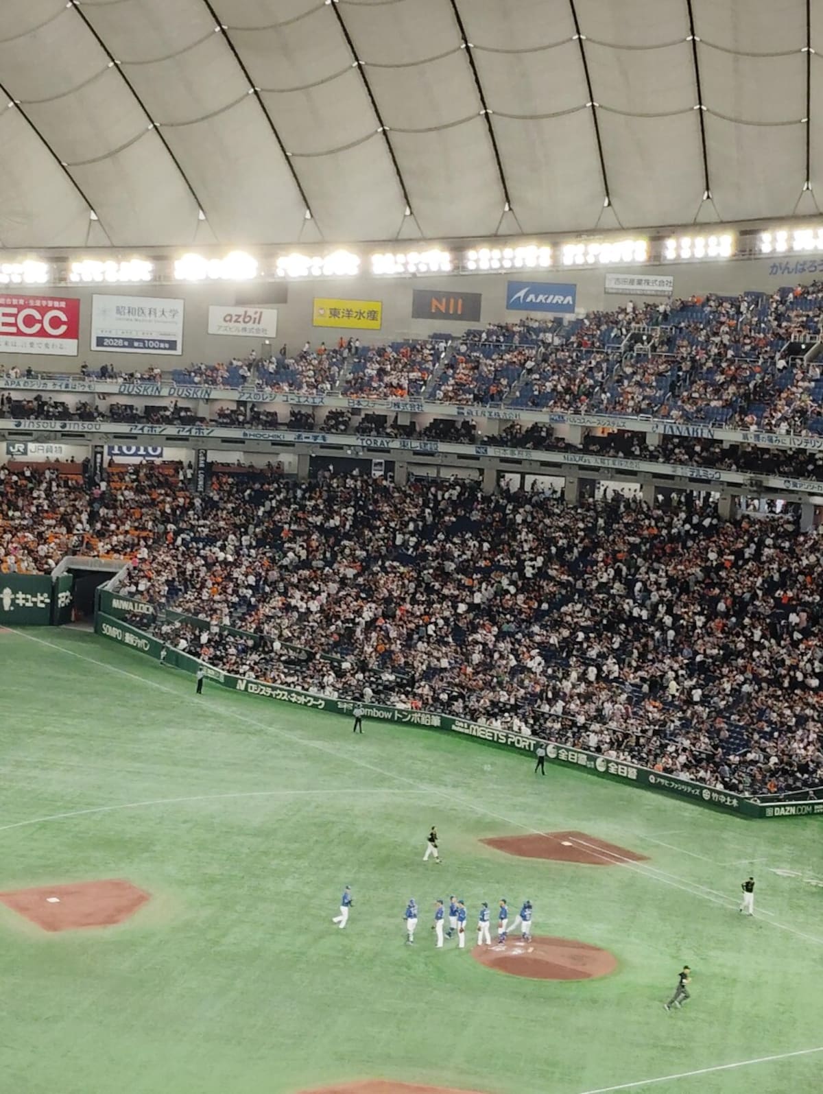 『中日ドラゴンズ』の推し活は現地での試合観戦！