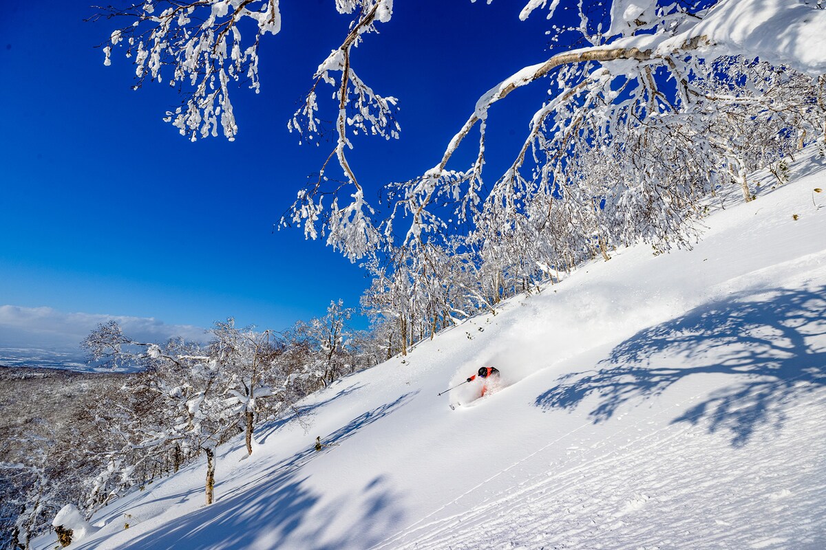 ルスツリゾートの非圧雪コース