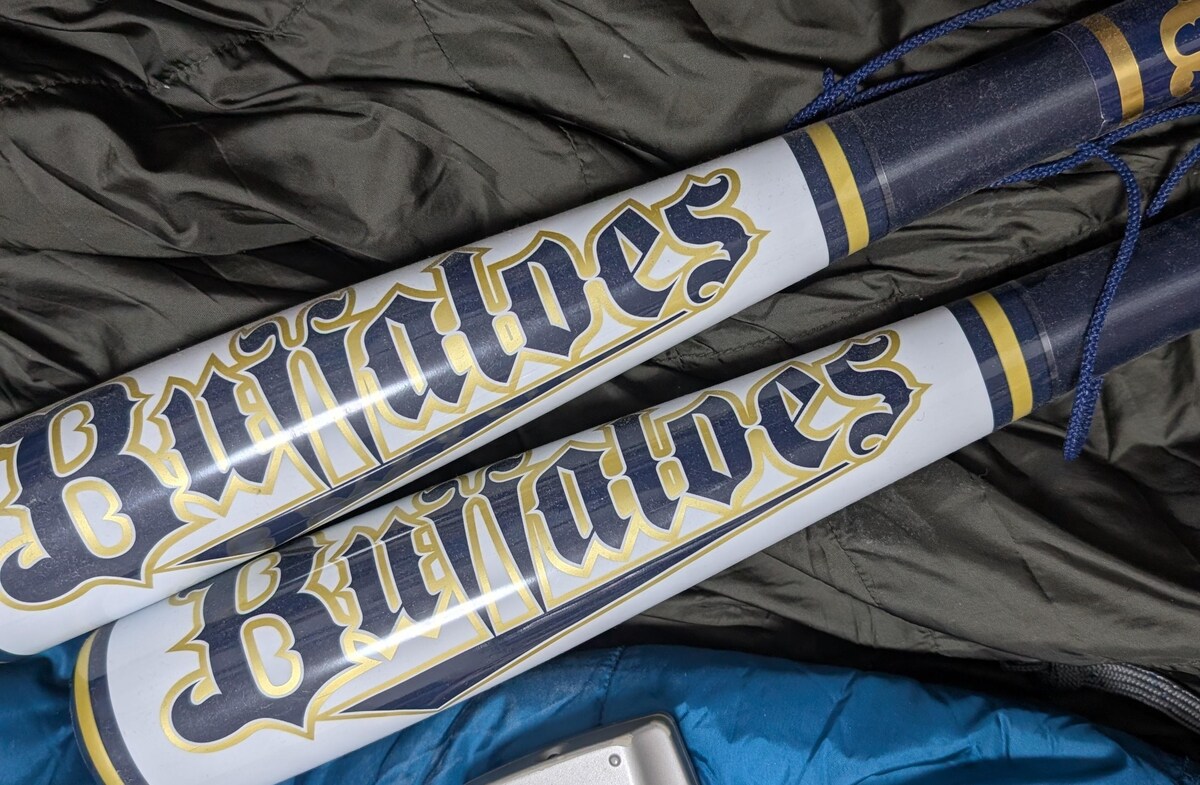 『オリックス・バファローズ』がイチオシ！