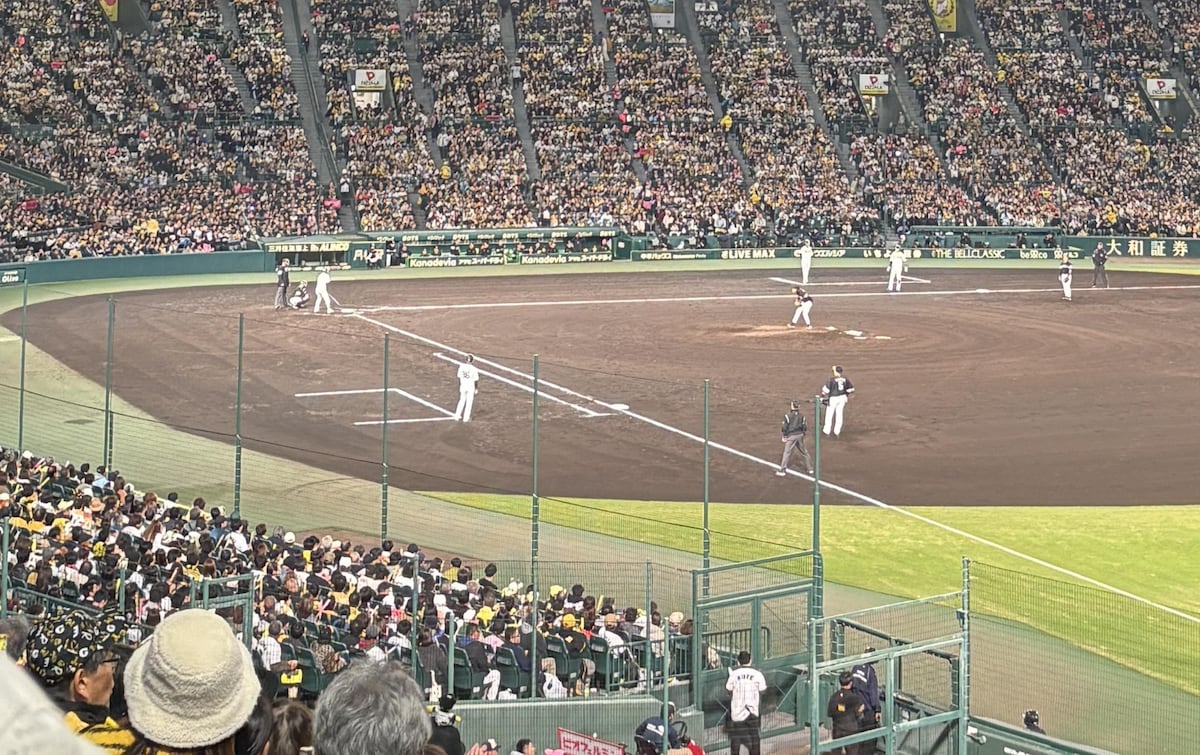 『阪神タイガース』がイチオシ！