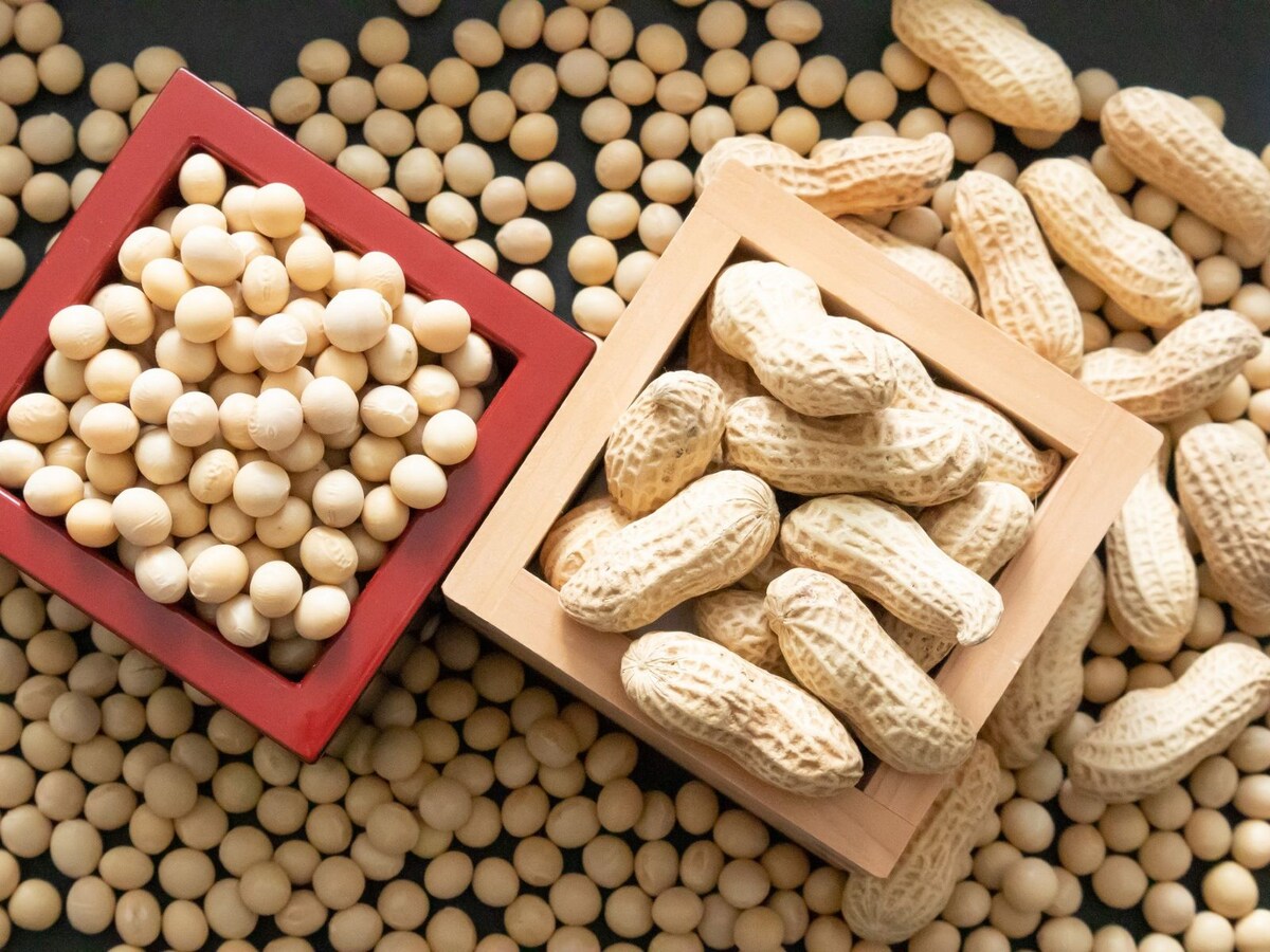 あなたは大豆派ですか？ それとも落花生派ですか？ ※画像：PIXTA