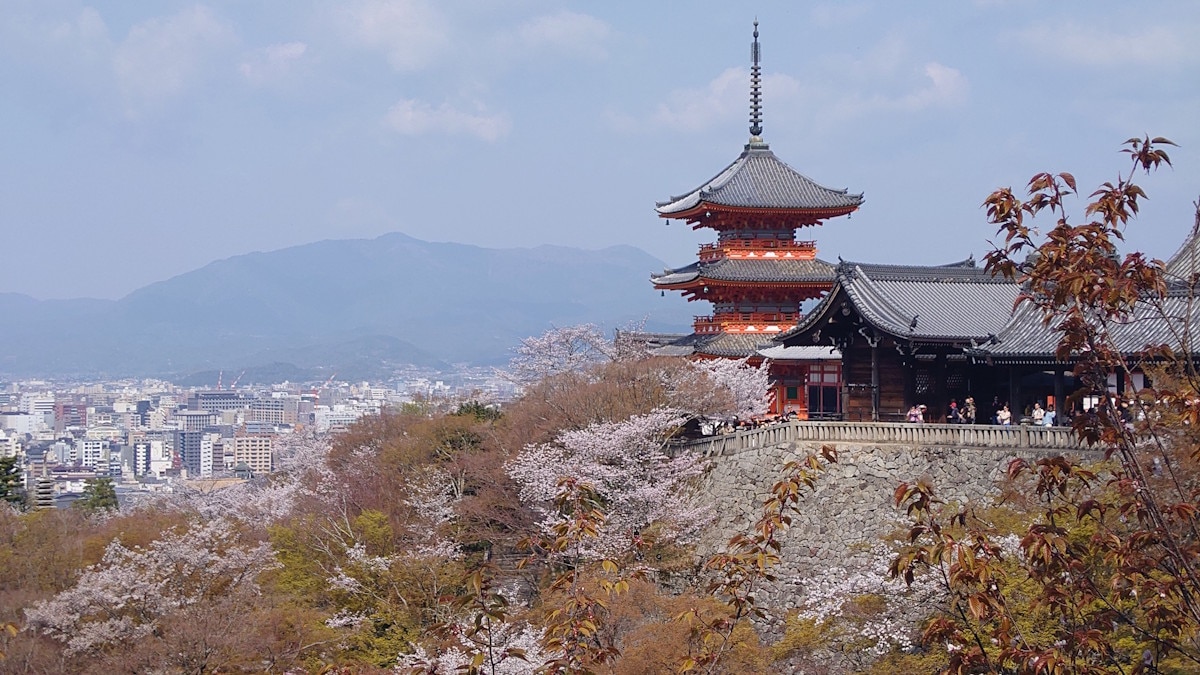 清水寺の桜（1）