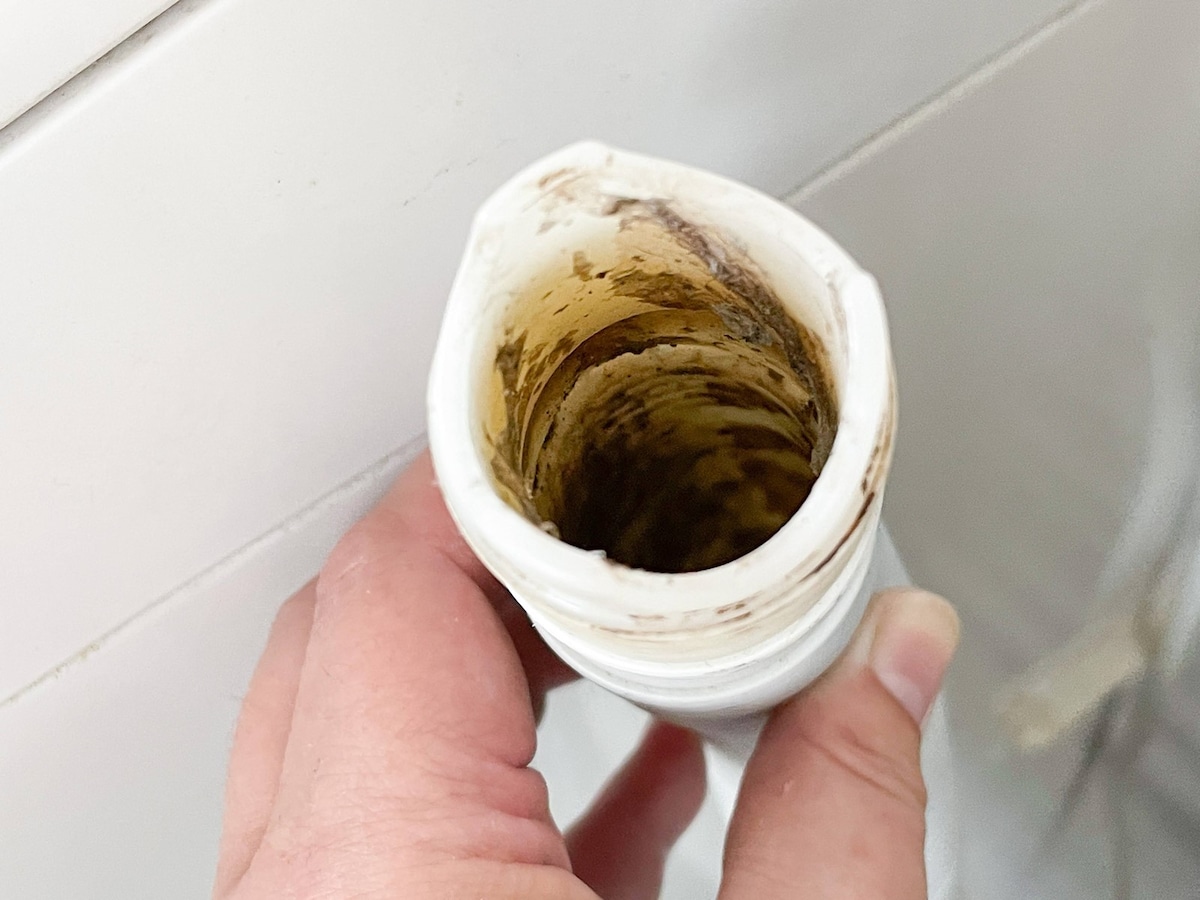 カビだらけの排水ホース