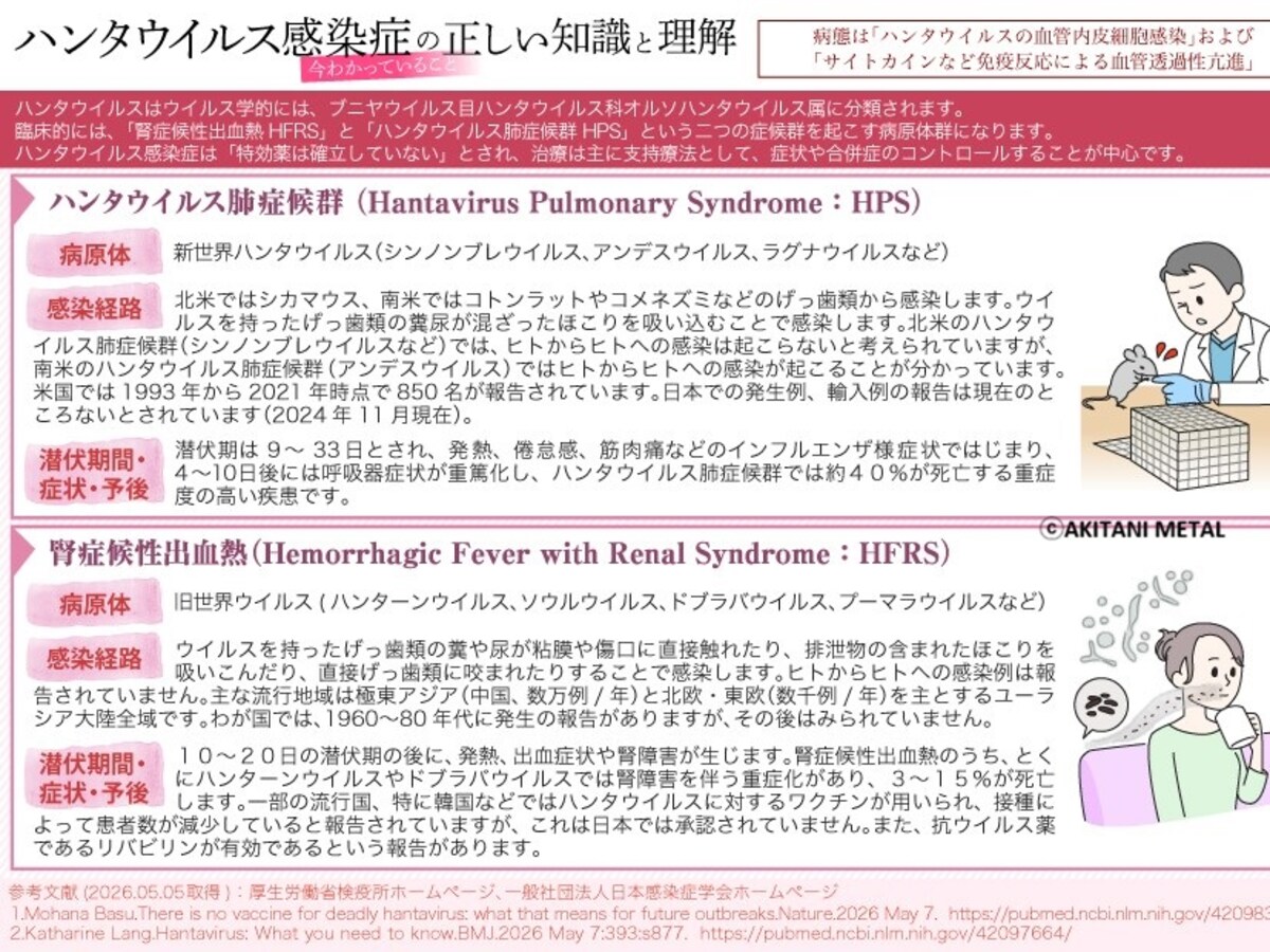 Hantavirus infection　AKITANI METAL