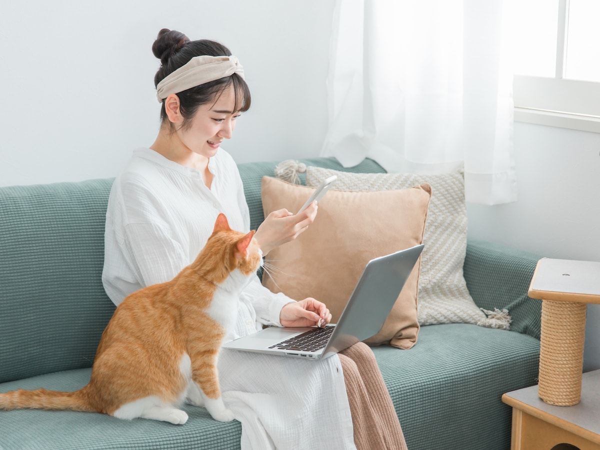 ETFと国債、初心者はどちらを買う？（画像：PIXTA）