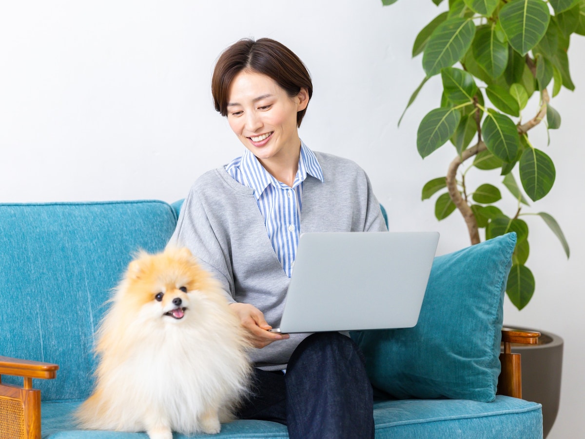 ETFと高配当株、どちらを買う？（画像：PIXTA）