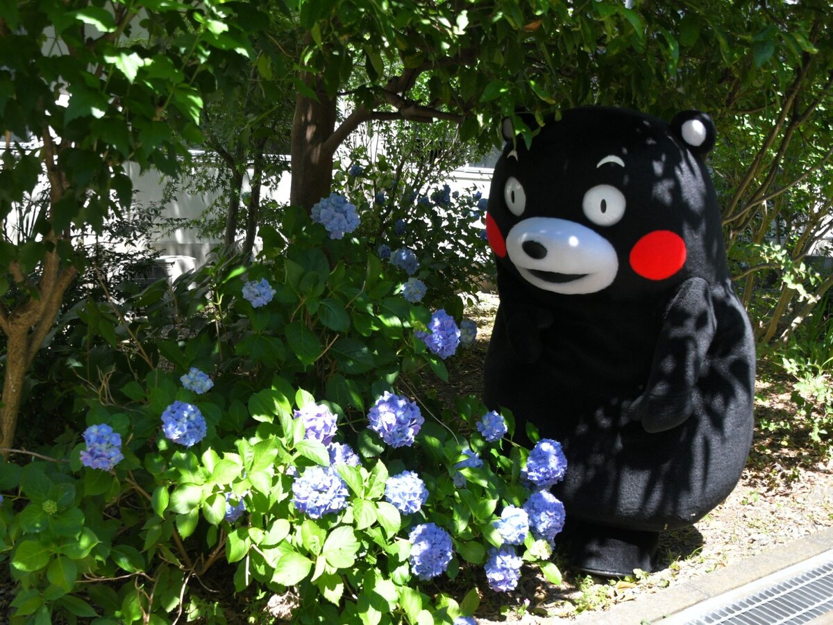 いとおしそうに愛でていた