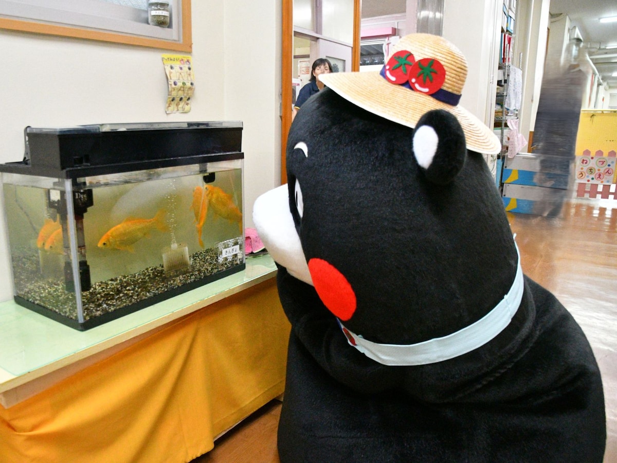 見てるだけだモン