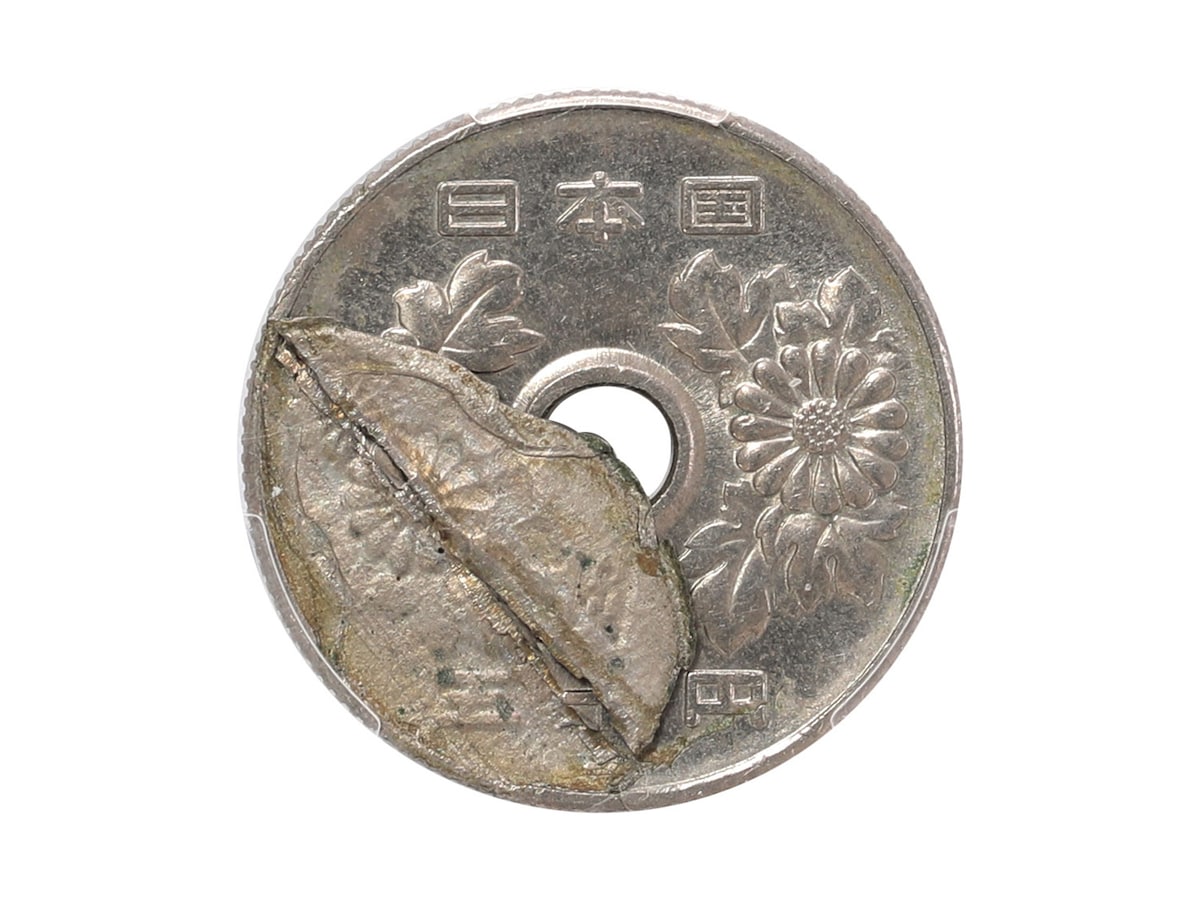 28万円で落札された実際の50円玉（表） ※画像：レトロコインオークションVol.15 LOT：212 現行貨幣 50円白銅貨 昭和42年 / 1967