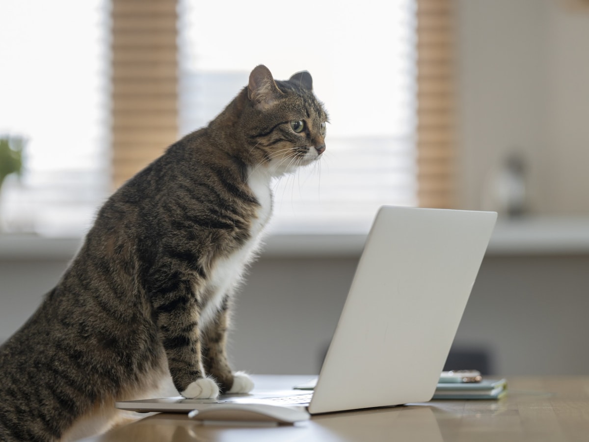 ゆうちょ銀行のキャッシュカード、暗証番号を何回連続で間違えるとロックされる？（画像：PIXTA）